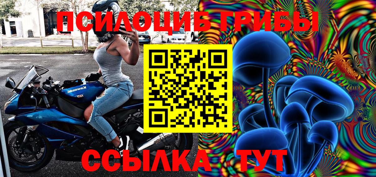 Галлюциногенные грибы MAGIC MUSHROOMS  Вход с VPN  Зеленогорск 